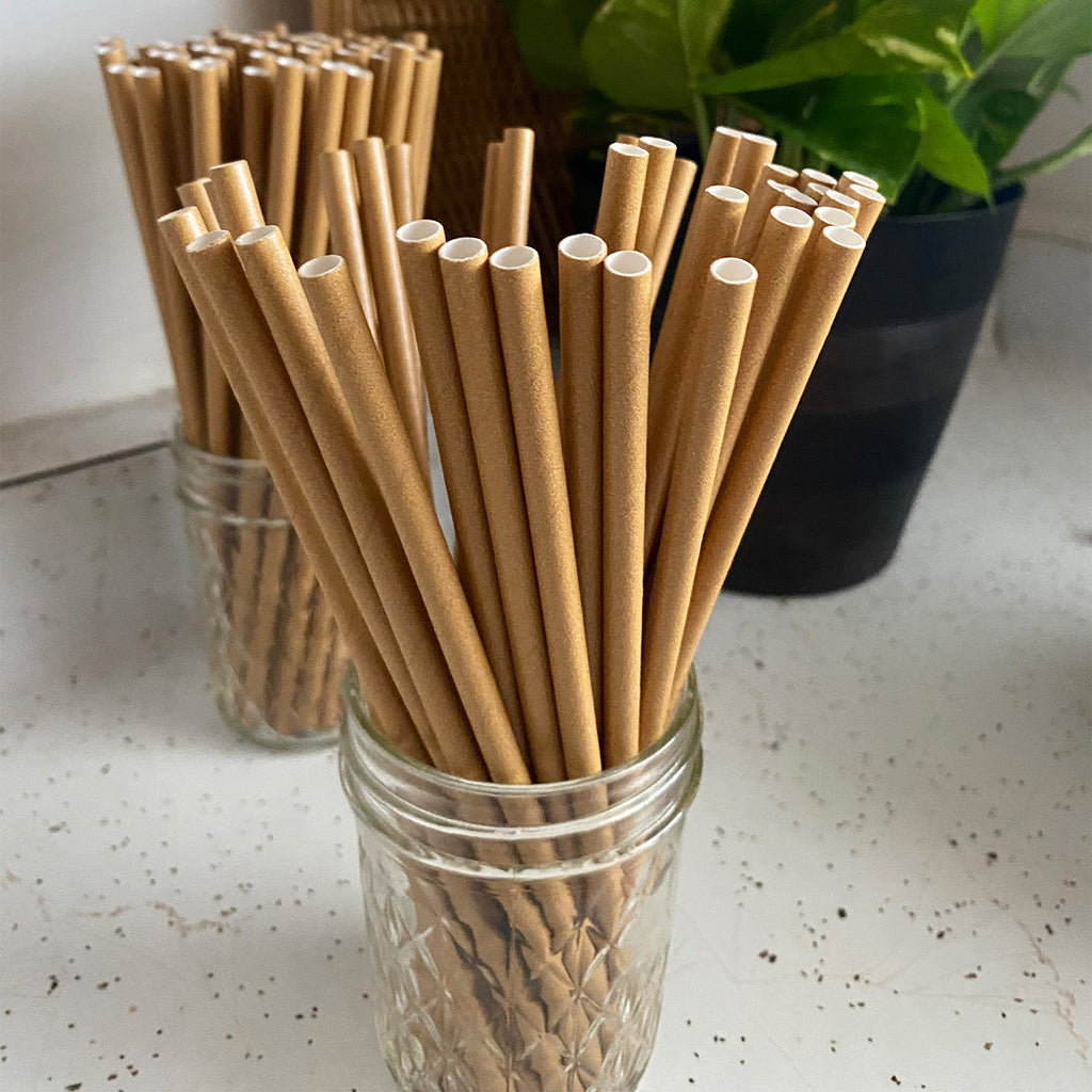 Brown Biodegradable Paper Straws
