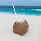 8" White Paper Straws