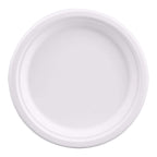 Biodegradable Party Plate Set