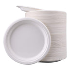 Biodegradable Party Plate Set