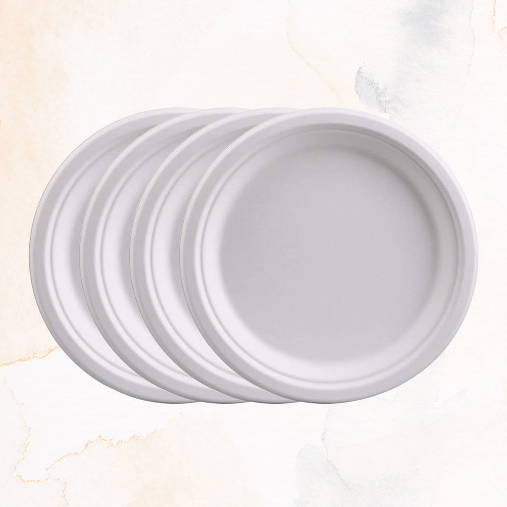 Biodegradable Party Plate Set