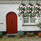 Artificial Rose Garland - 110cm - Pink