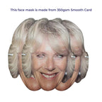 King Charles & Queen Consort Camilla Royal Family Face Mask