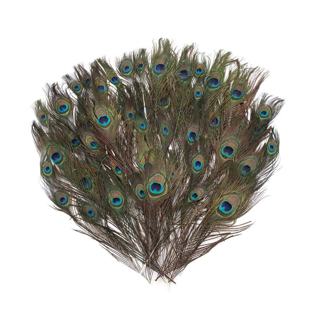 Peacock Feathers - Medium