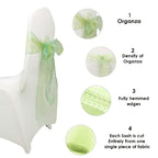 7" x 108" Organza Chair Sash - Apple Green