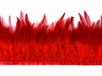 Rooster Feather Fringe for Costume - Red