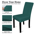 Short Velvet-Touch Spandex Chair Cover - Turquoise