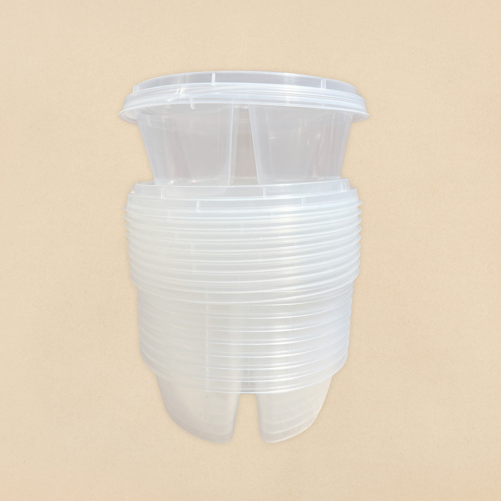3 Compartment Reusable Plastic Food Container - 10pcs