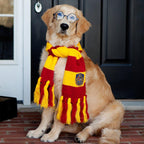 Harry Potter Party Glasses (Pack of 4)