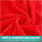Velvet Santa Costume Set – Mrs. Claus Hooded Cape & Skirt