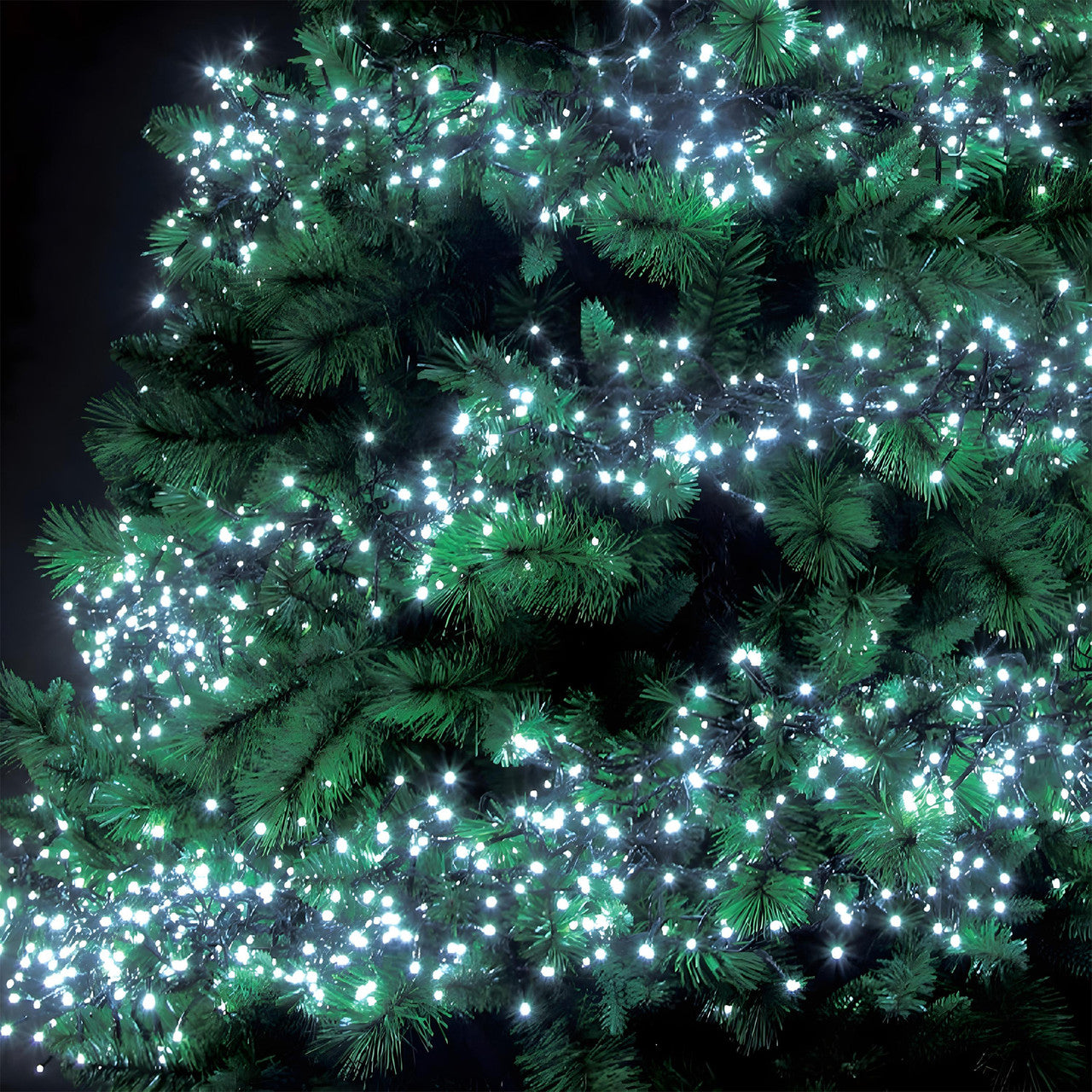 Christmas Tree Cluster Lights