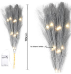 Pampas Grass Stem with 50 Warm White LED's - Grey