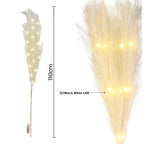 110cm Pre-Lit Pampas Grass Stem - Cream