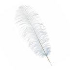 50-60cm Loose Ostrich Feathers, 5pcs - Baby Blue