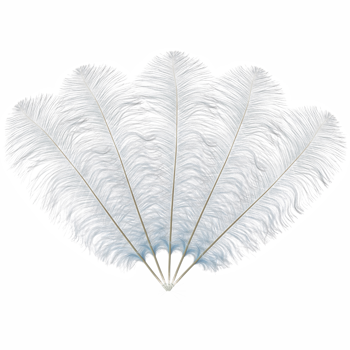 50-60cm Loose Ostrich Feathers, 5pcs - Baby Blue