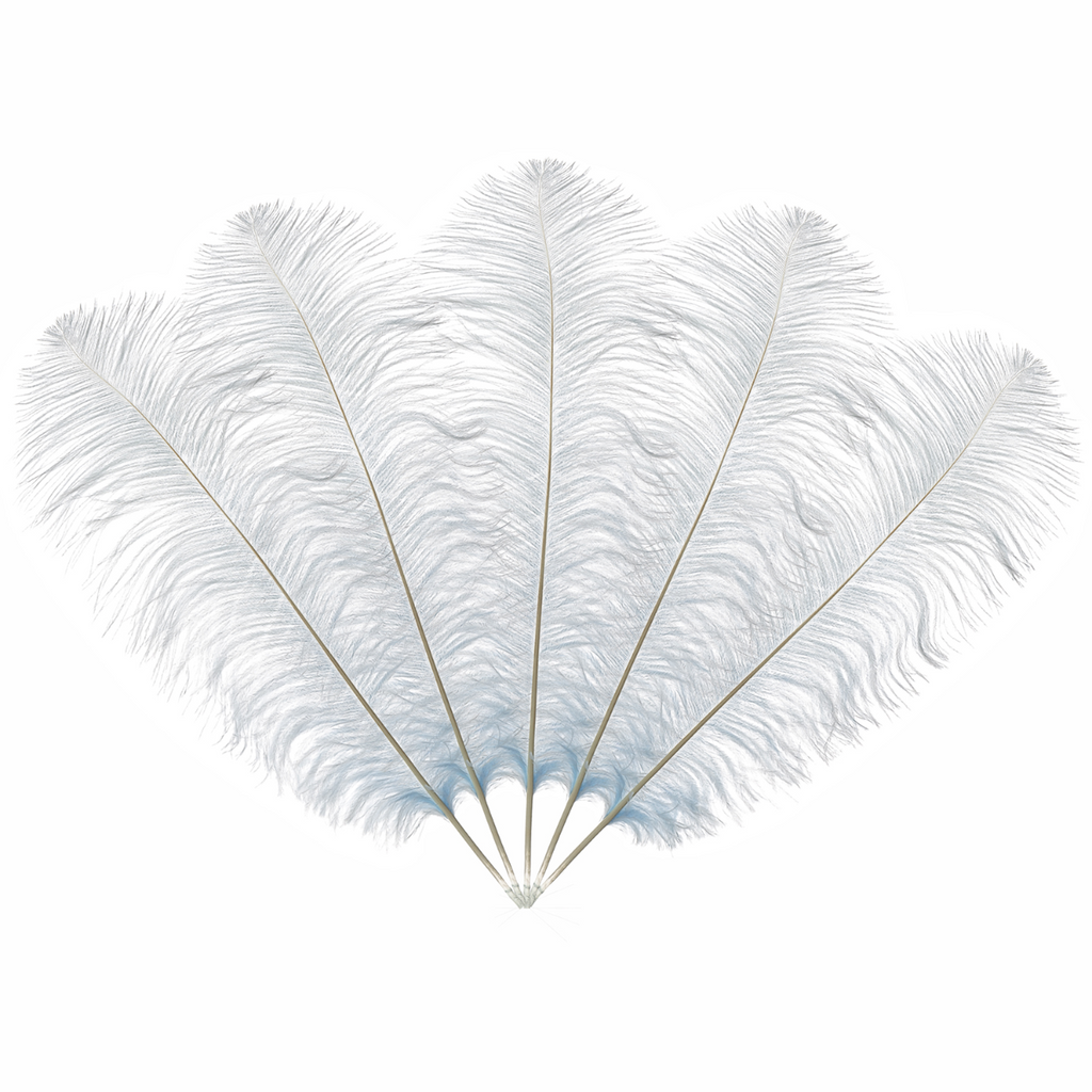 50-60cm Loose Ostrich Feathers, 5pcs - Baby Blue