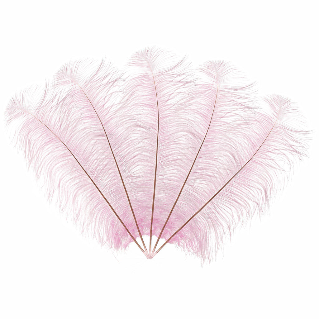 50-60cm Loose Ostrich Feathers, 5pcs - Baby Pink