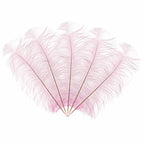 50-60cm Loose Ostrich Feathers, 5pcs - Baby Pink
