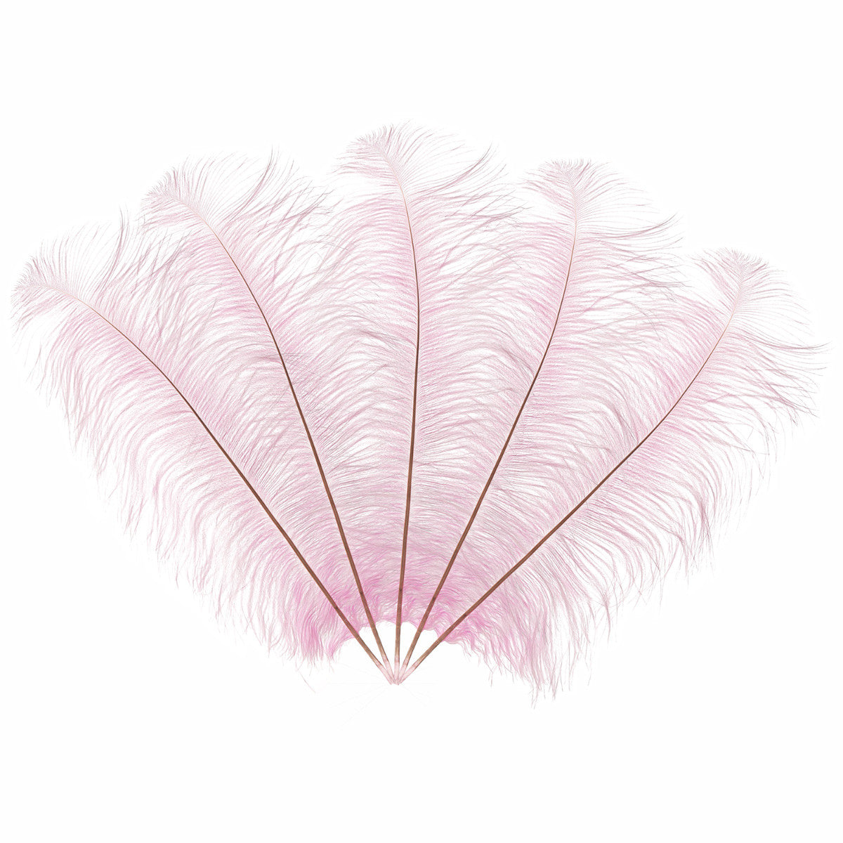 50-60cm Loose Ostrich Feathers, 5pcs - Baby Pink