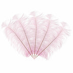 50-60cm Loose Ostrich Feathers, 5pcs - Baby Pink