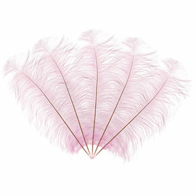 50-60cm Loose Ostrich Feathers, 5pcs - Baby Pink