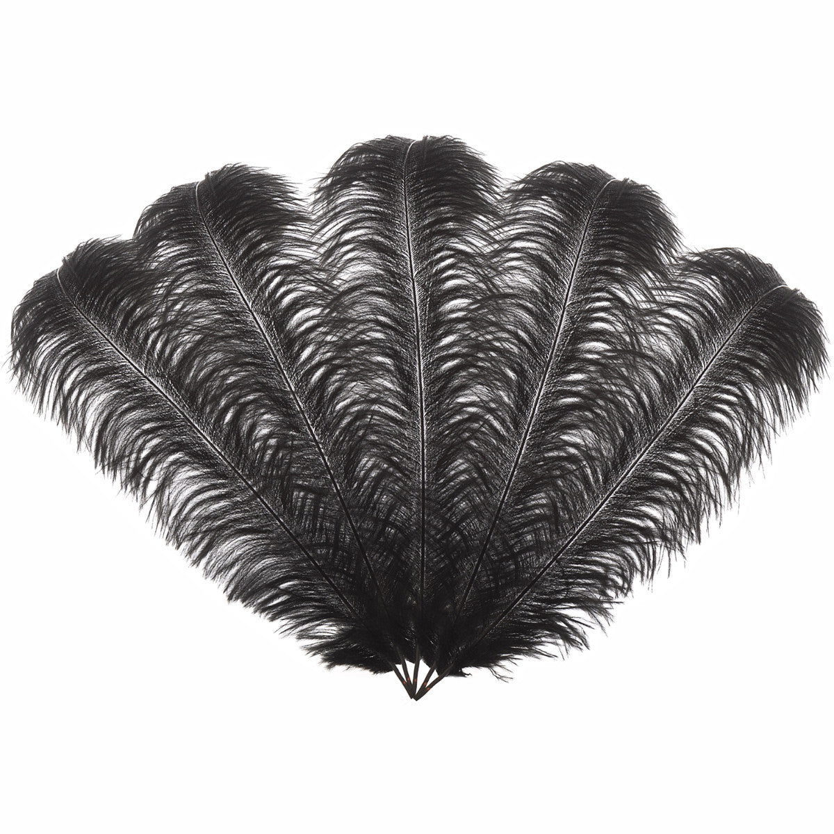 50-60cm Loose Ostrich Feathers, 5pcs - Black