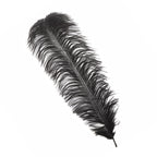 50-60cm Loose Ostrich Feathers, 5pcs - Black