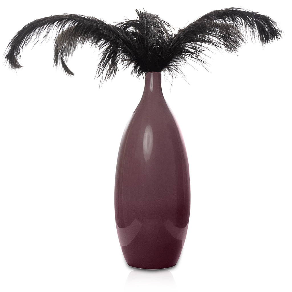 50-60cm Loose Ostrich Feathers, 5pcs - Black