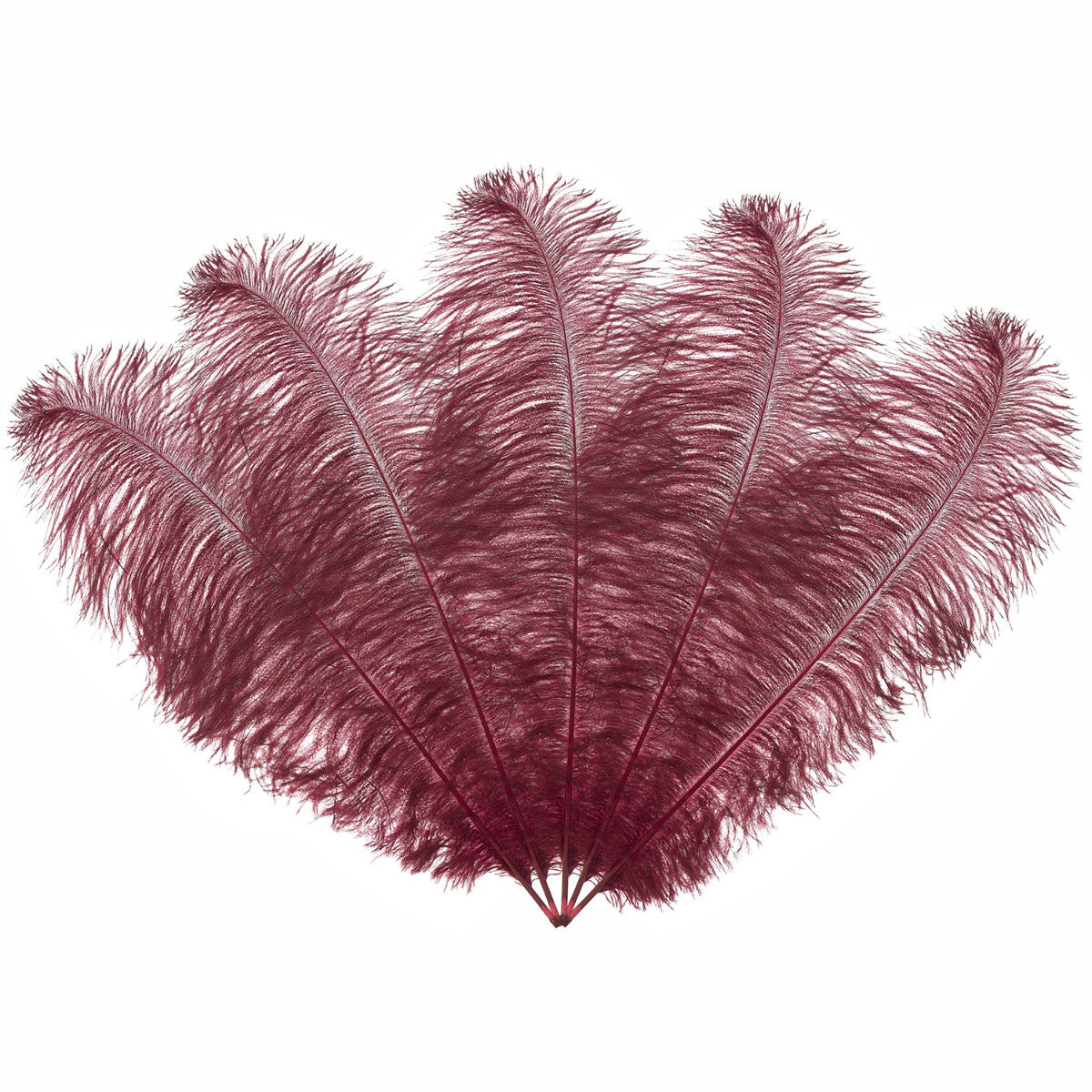 50-60cm Loose Ostrich Feathers, 5pcs - Burgundy