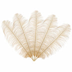 50-60cm Loose Ostrich Feathers, 5pcs - Gold
