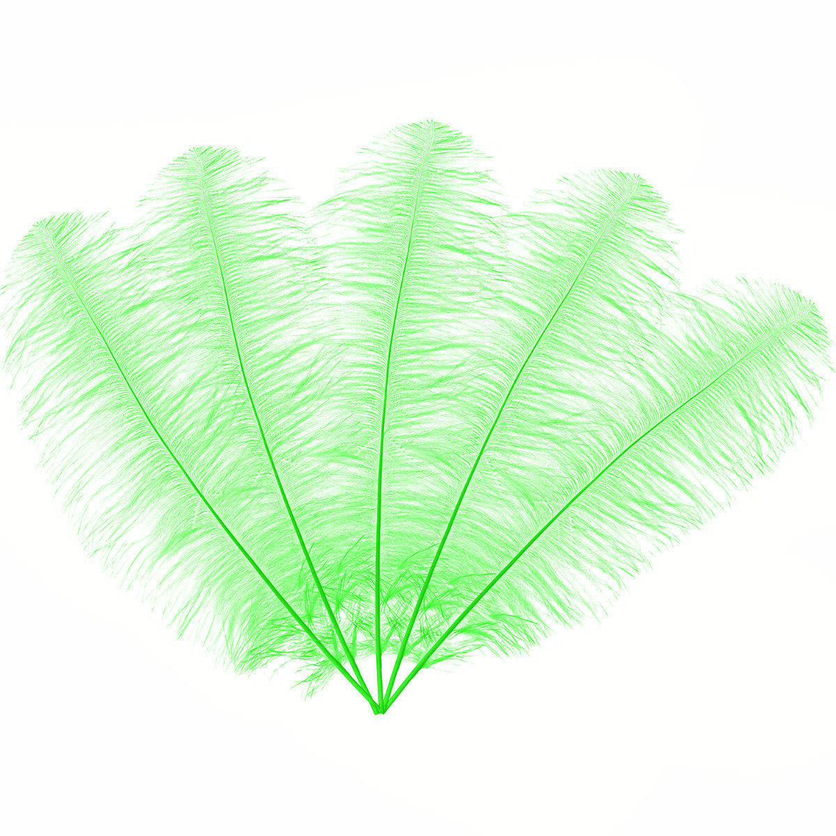 50-60cm Loose Ostrich Feathers, 5pcs - Green
