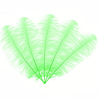 50-60cm Loose Ostrich Feathers, 5pcs - Green