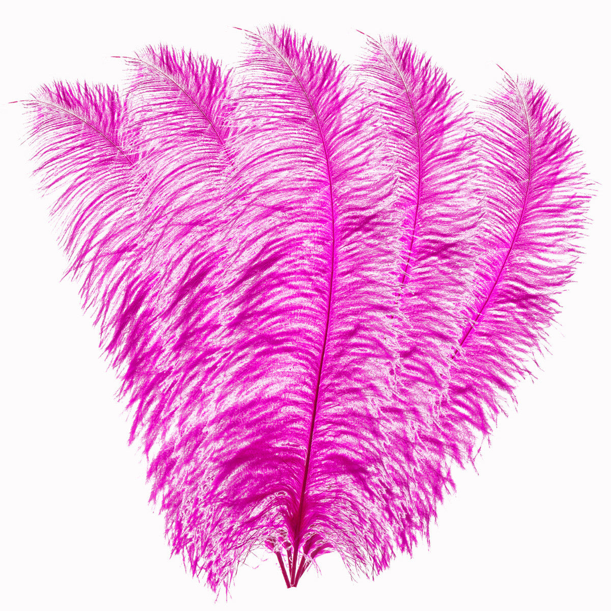 50-60cm Loose Ostrich Feathers, 5pcs - Hot Pink