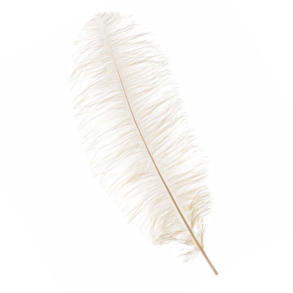 50-60cm Loose Ostrich Feathers, 5pcs - Ivory