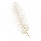 50-60cm Loose Ostrich Feathers, 5pcs - Ivory
