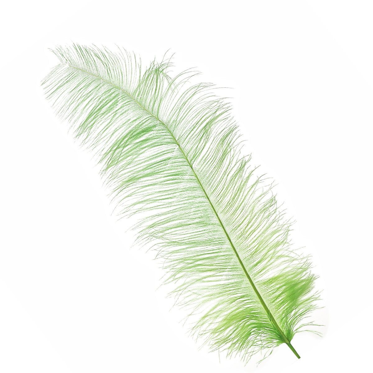 50-60cm Loose Ostrich Feathers, 5pcs - Mint