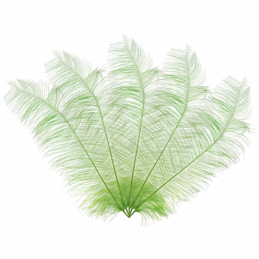 50-60cm Loose Ostrich Feathers, 5pcs - Mint