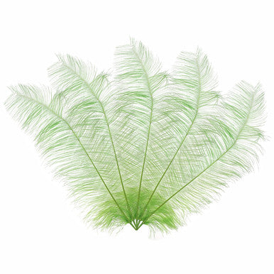 50-60cm Loose Ostrich Feathers, 5pcs - Mint