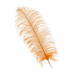 50-60cm Loose Ostrich Feathers, 5pcs - Orange