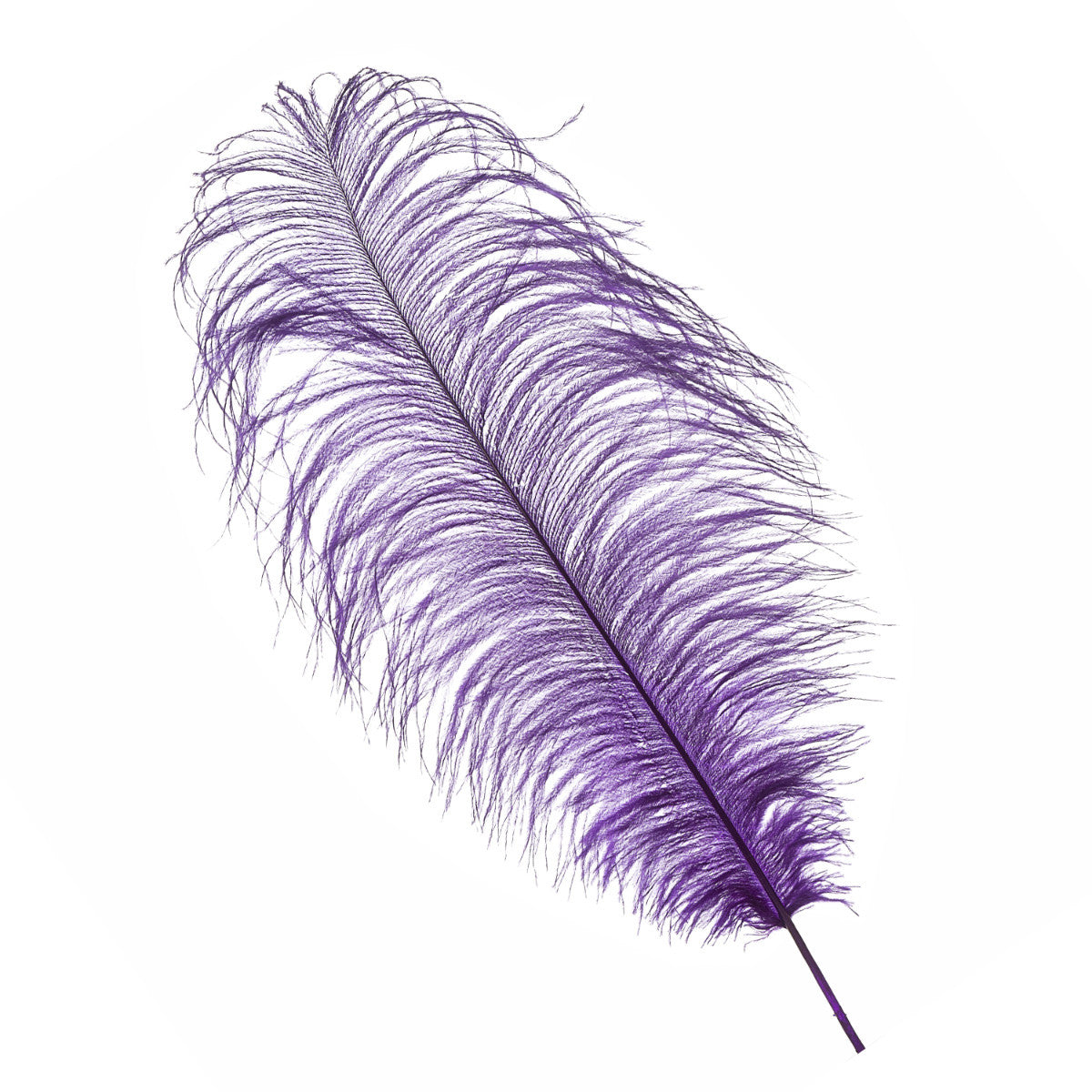 50-60cm Loose Ostrich Feathers, 5pcs - Purple