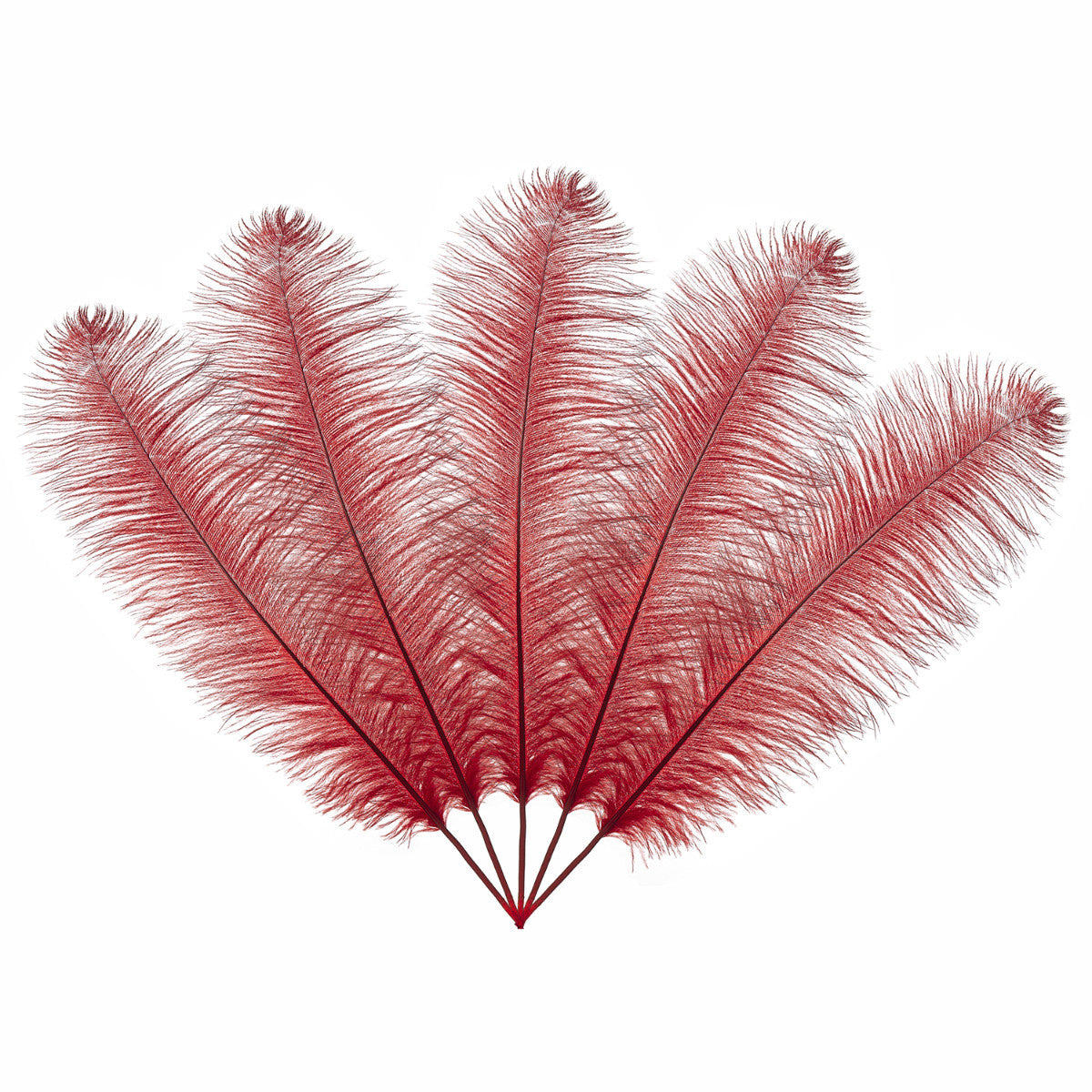 50-60cm Loose Ostrich Feathers, 5pcs - Red