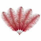 50-60cm Loose Ostrich Feathers, 5pcs - Red