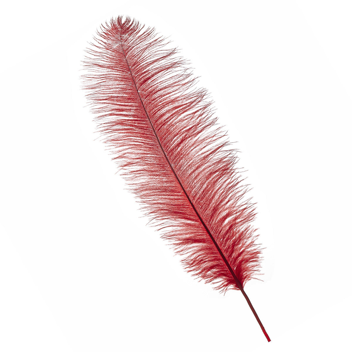 50-60cm Loose Ostrich Feathers, 5pcs - Red