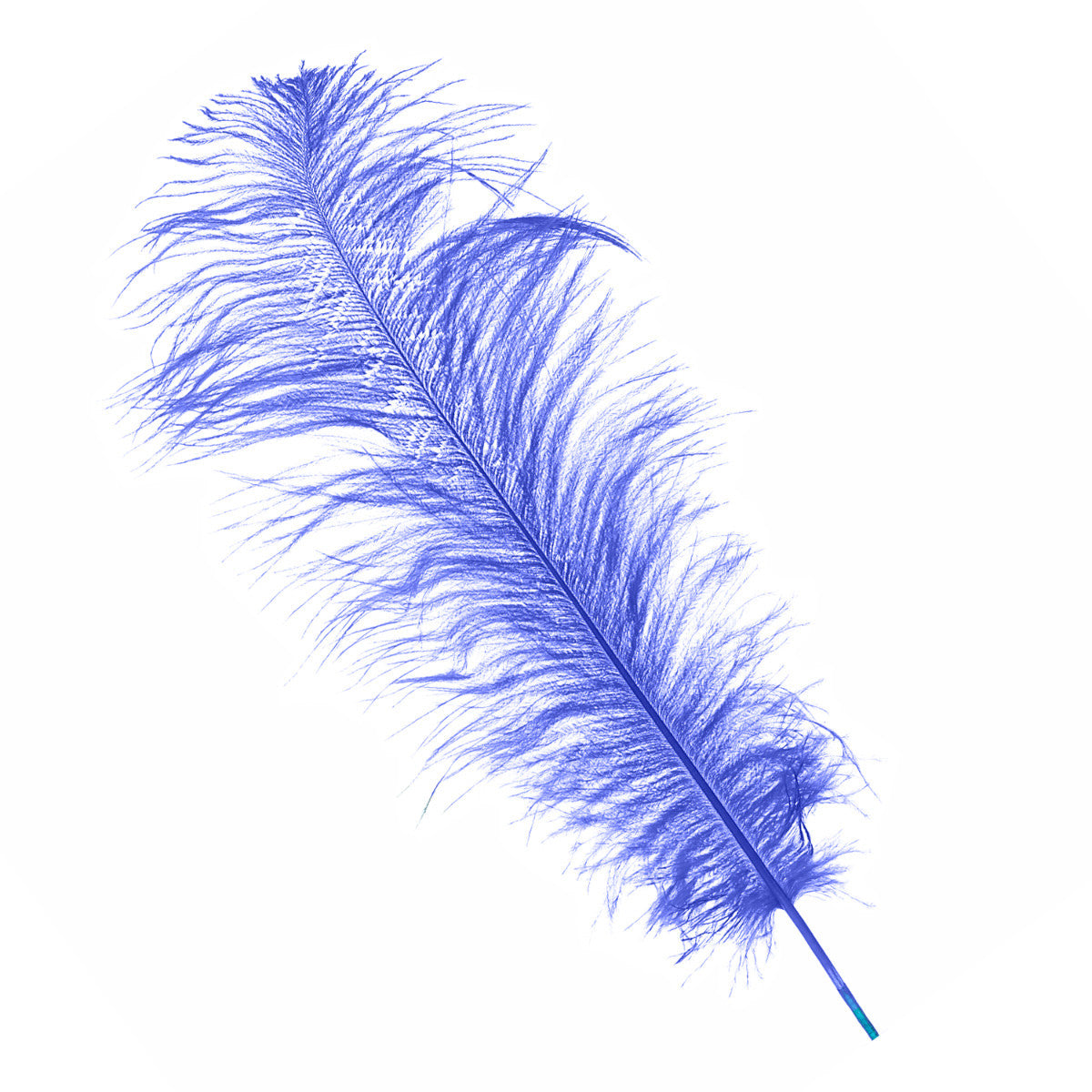50-60cm Loose Ostrich Feathers, 5pcs - Royal Blue