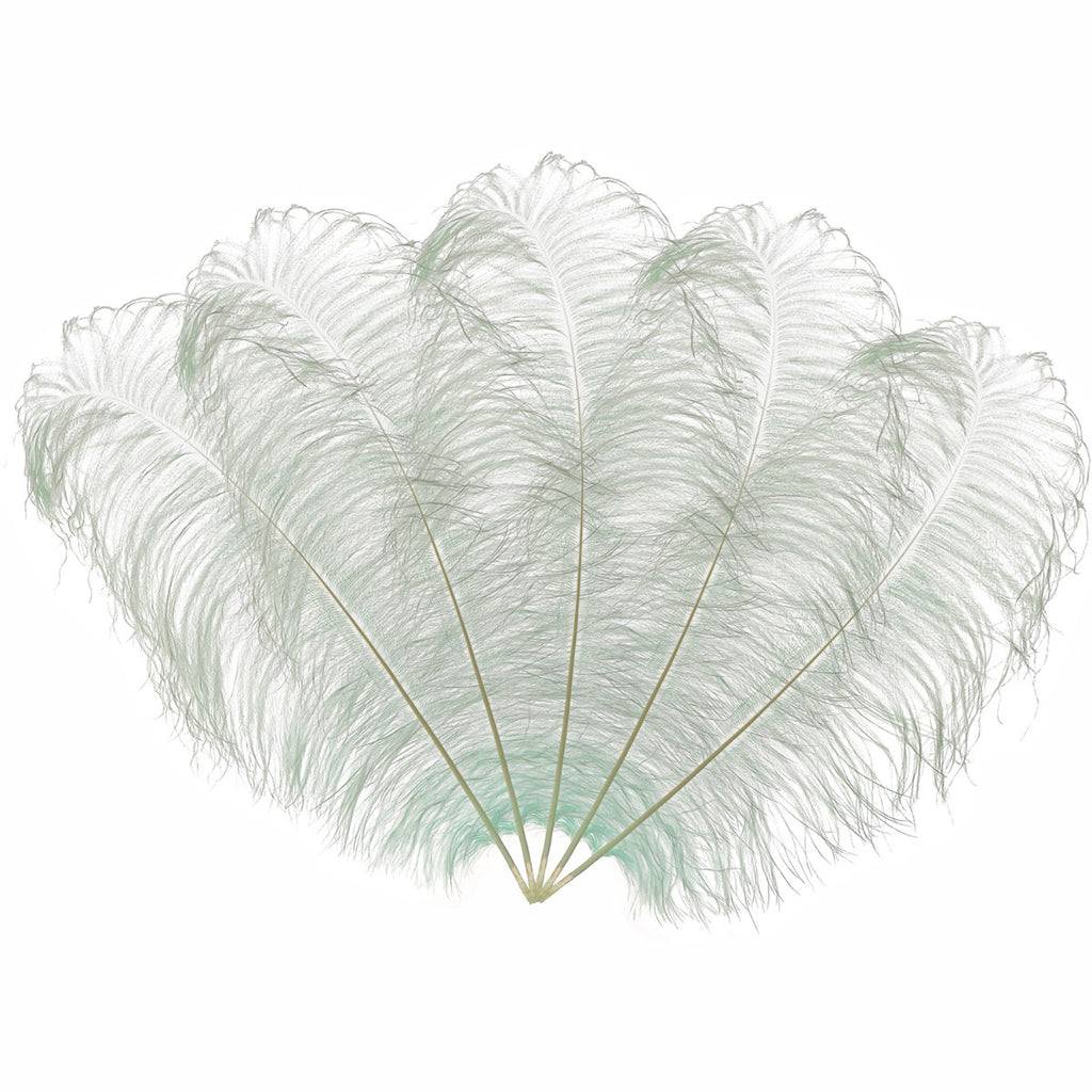 50-60cm Loose Ostrich Feathers, 5pcs - Silver