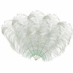 50-60cm Loose Ostrich Feathers, 5pcs - Silver
