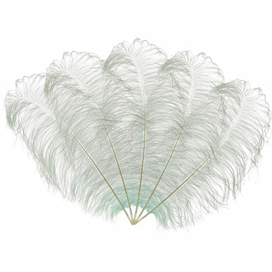 50-60cm Loose Ostrich Feathers, 5pcs - Silver