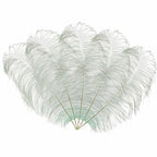 50-60cm Loose Ostrich Feathers, 5pcs - Silver