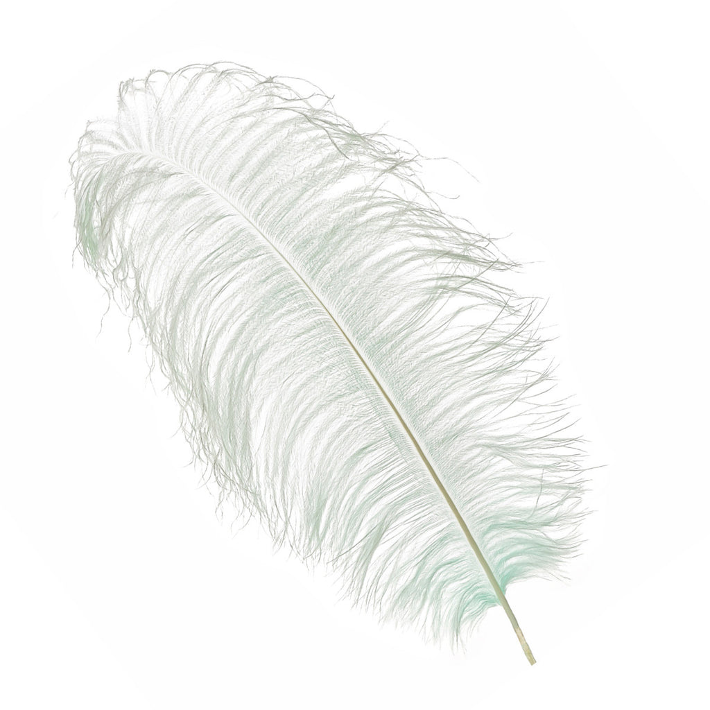50-60cm Loose Ostrich Feathers, 5pcs - Silver