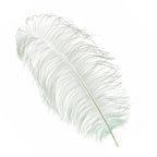50-60cm Loose Ostrich Feathers, 5pcs - Silver